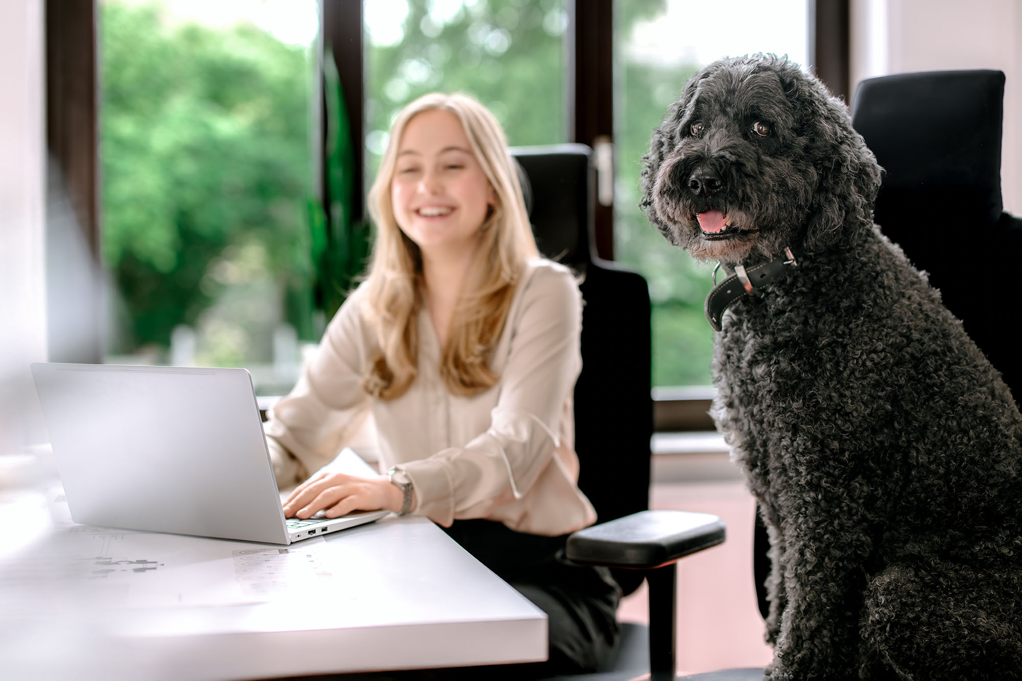 Frau arbeitet lächelnd am Laptop, während schwarzer Hund daneben sitzt, modernen Bürohintergrund